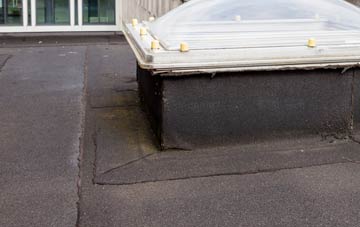 disadvantages of Satran flat roofs
